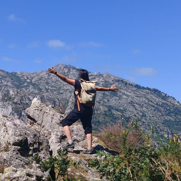 Quebrantahuesos Los dominios del quebrantahuesos. QUebrantahuesos volando en Picos de Europa. Avistamiento de aves
